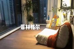 菲林格尔公司怎么样