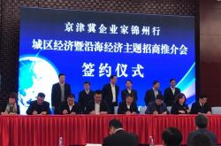 中环国投是央企吗