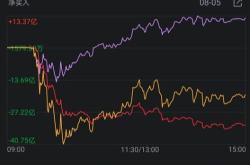 新能源和科技股龙头