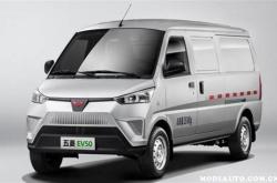 新能源面包车价格表