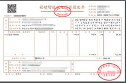 科技公司开发票项目