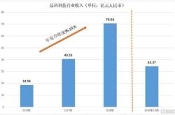 晶科光伏发电新能源有限公司