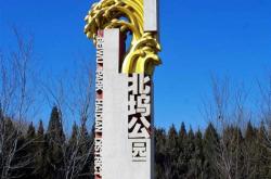 北坞公园游玩攻略游记