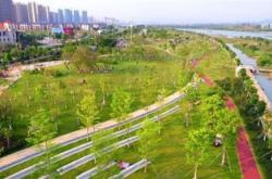 创建惠民丨市城建发展集团助力精塑 最干净城市