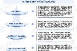 大模型在医药行业知识图谱构建中的创新应用