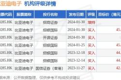 花旗集团对比亚迪股份的买入评级与目标价分析