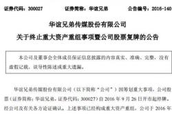 松炀资源终止收购案市场震荡与未来展望