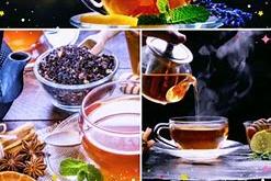 经常喝茶什么茶叶好
