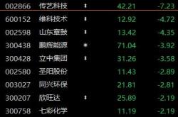 泰格医药股价震荡走低市场波动与行业前景分析