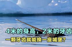 从独角兽看一座城