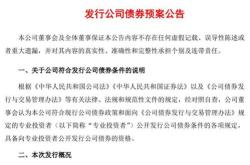 拟制定新债务处理方案？碧桂园回应：未能筹措足额兑付资金望投资者给予个月宽限期
