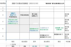 新能源基金估值水平低的原因及建议