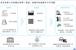 双碳和新能源案例分析