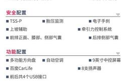 1.了解亚洲龙新能源车型