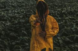 夜色下的秘密，探究那些让人毛骨悚然的鬼故事短篇