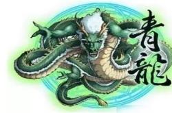 神型科技青龙价格