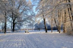 探索冬奥会的举办地，冰雪盛宴的全球舞台