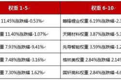 大全新能源中签收益顶测