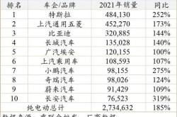 农村新能源车销量排名及分析