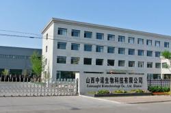 南茂集团有限公司