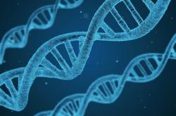 招远疫情最新消息，团结抗疫，共筑健康防线