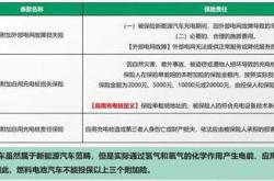 新能源汽车保险专属条款