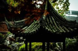 上海今日疫情动态，了解、预防与应对