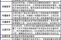 新能源车驱动电机龙头企业