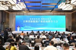 虎林新能源政策最新