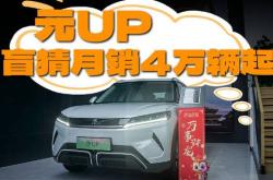 盲目是什么意思?