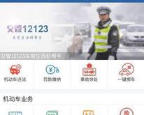 新能源车牌怎么看进度