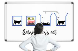 薛定谔的猫，一个让你脑洞大开的量子物理实验