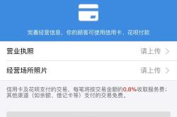 支付宝新能源车补贴