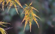 谷雨时节，春末夏初的农耕与养生指南