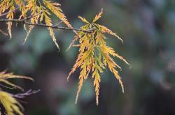 谷雨时节，春末夏初的农耕与养生指南