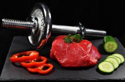 肌肉解剖学教程，深入了解人体肌肉结构与功能
