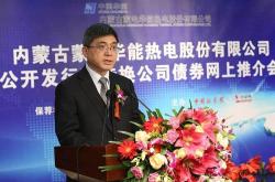 华能新能源股份董事长王