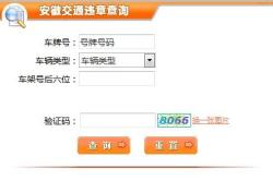 如何查询新能源车的违章记录？