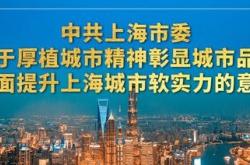 主要业务领域