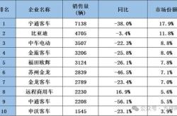 新能源车梯队