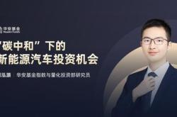 标题：新能源行业的发展与商机