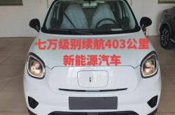 领跑新能源厂家电话