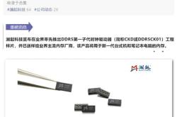 上海澜起科技公司综合评价