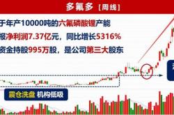 新能源基金重仓股