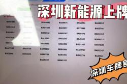 1.自编车牌范围