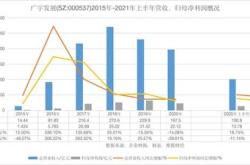 鲁能新能源有哪些业务