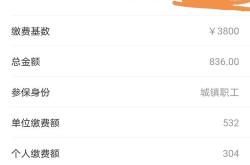 山东海景新能源公司工资待遇分析