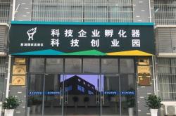 绿叶科技集团董事总裁
