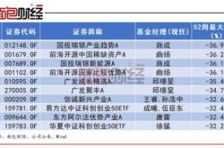 新能源基金有哪些知名经理