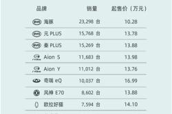 10万新能源汽车前十名品牌